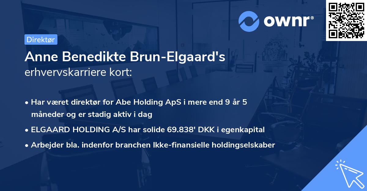 Anne Benedikte Brun-Elgaard's erhvervskarriere kort