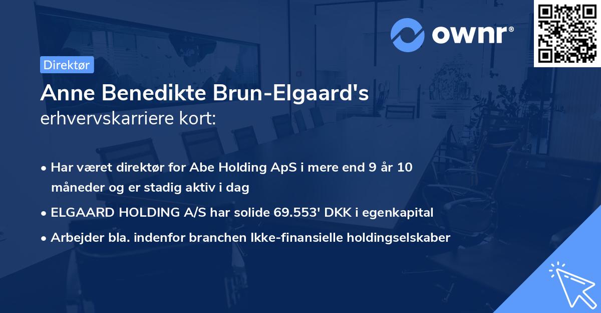 Anne Benedikte Brun-Elgaard's erhvervskarriere kort