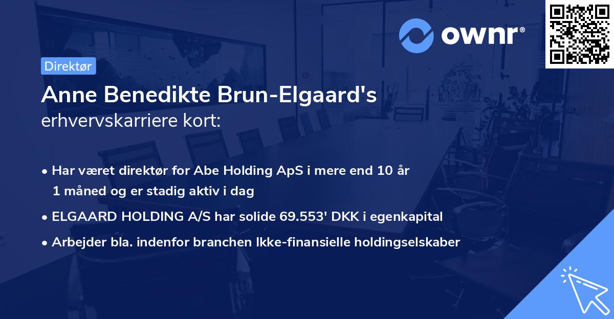 Anne Benedikte Brun-Elgaard's erhvervskarriere kort