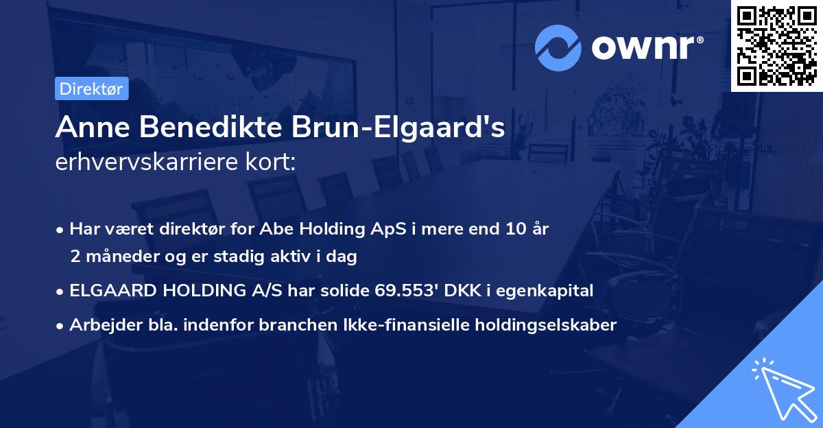 Anne Benedikte Brun-Elgaard's erhvervskarriere kort