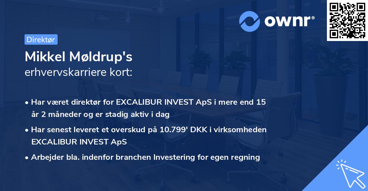 Mikkel Møldrup's erhvervskarriere kort