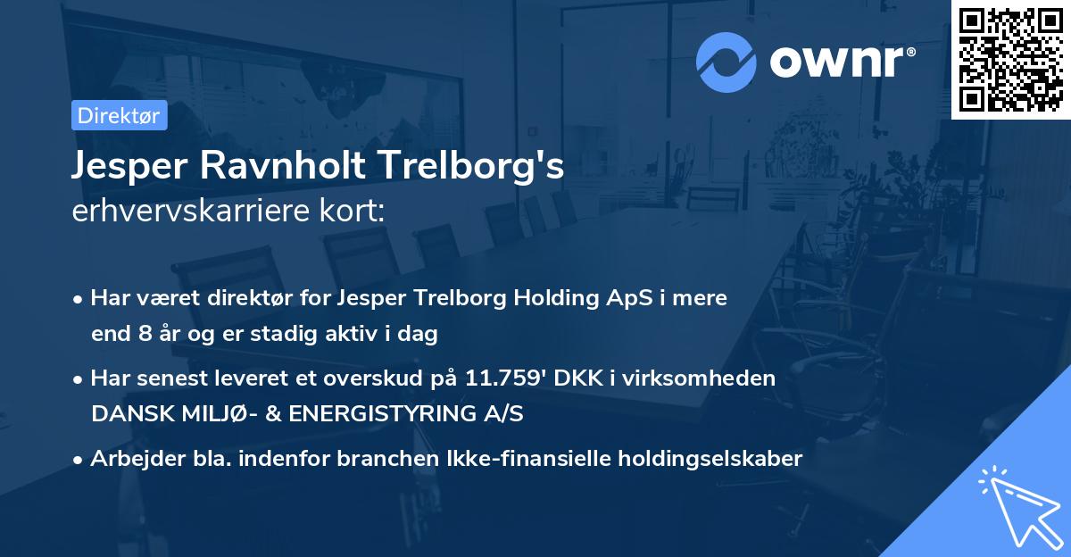 Jesper Ravnholt Trelborg's erhvervskarriere kort