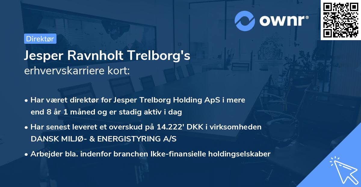 Jesper Ravnholt Trelborg's erhvervskarriere kort