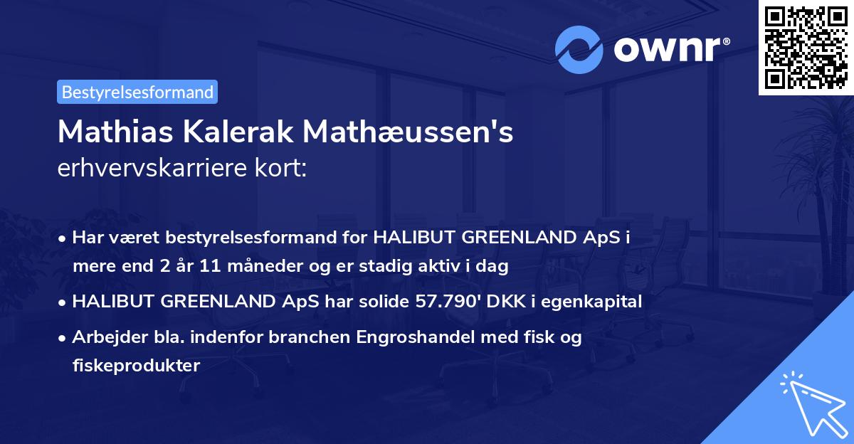 Mathias Kalerak Mathæussen's erhvervskarriere kort