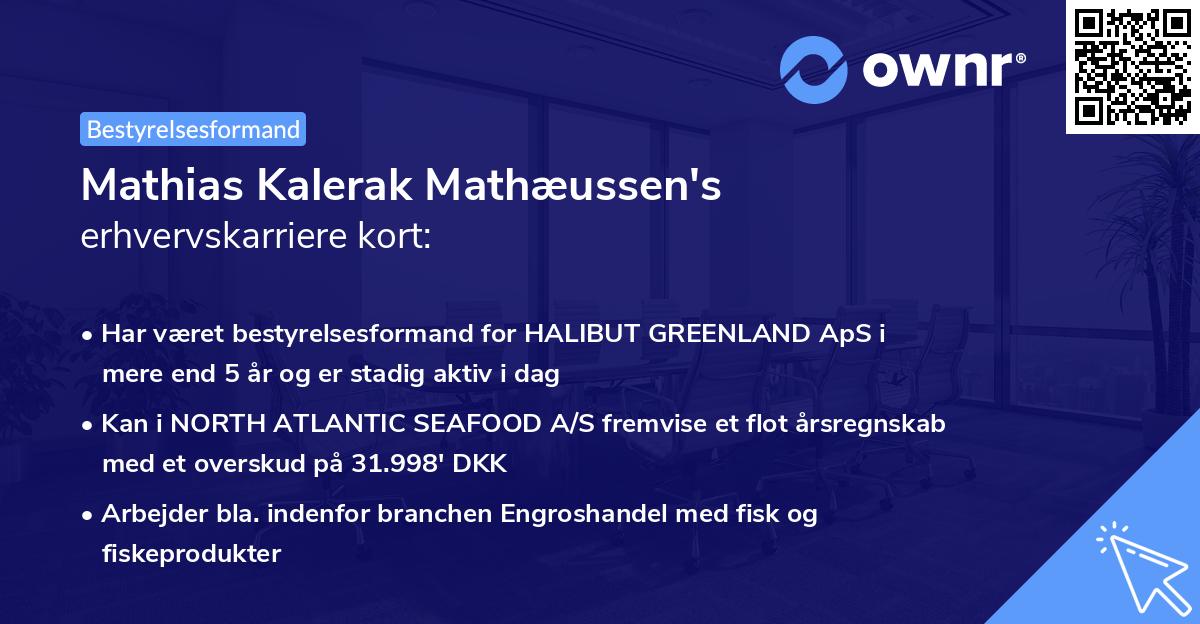 Mathias Kalerak Mathæussen's erhvervskarriere kort