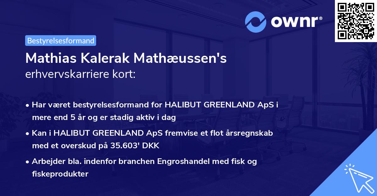 Mathias Kalerak Mathæussen's erhvervskarriere kort