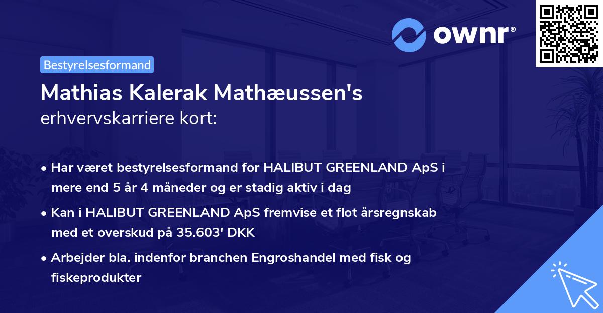Mathias Kalerak Mathæussen's erhvervskarriere kort