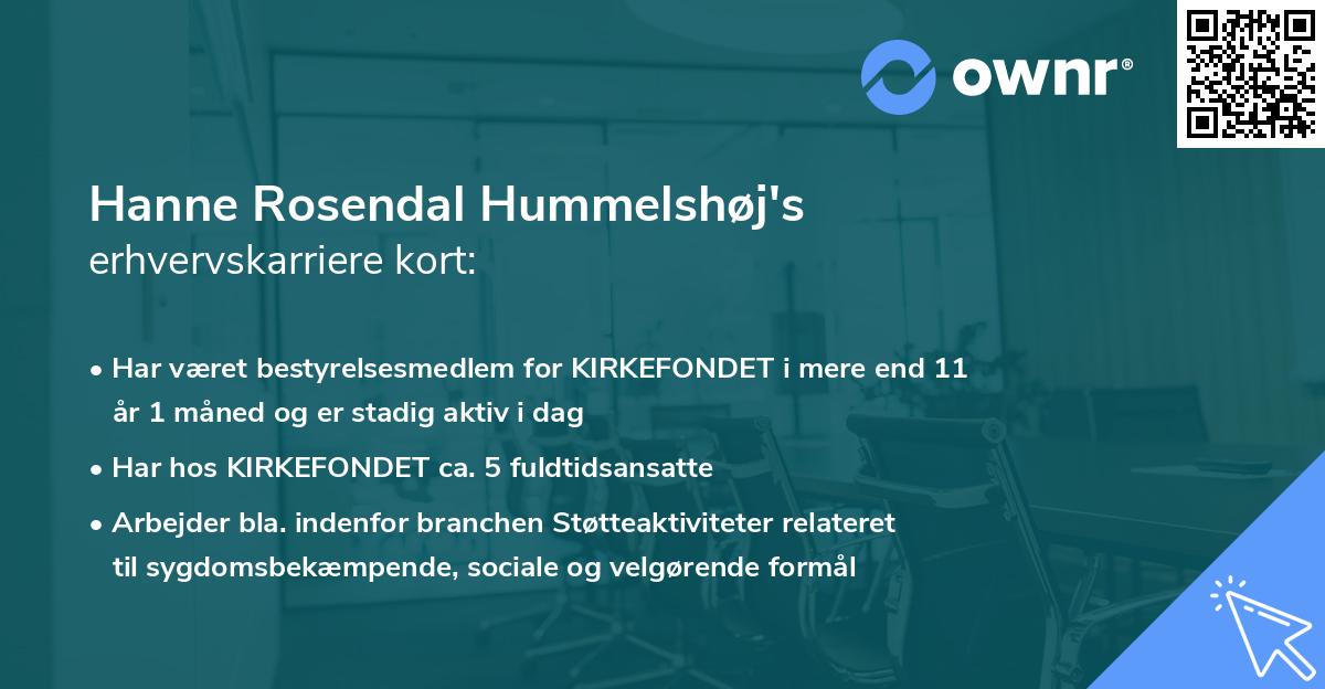 Hanne Rosendal Hummelshøj's erhvervskarriere kort