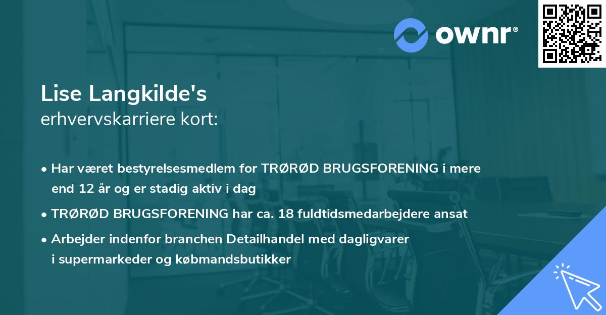 Lise Langkilde's erhvervskarriere kort