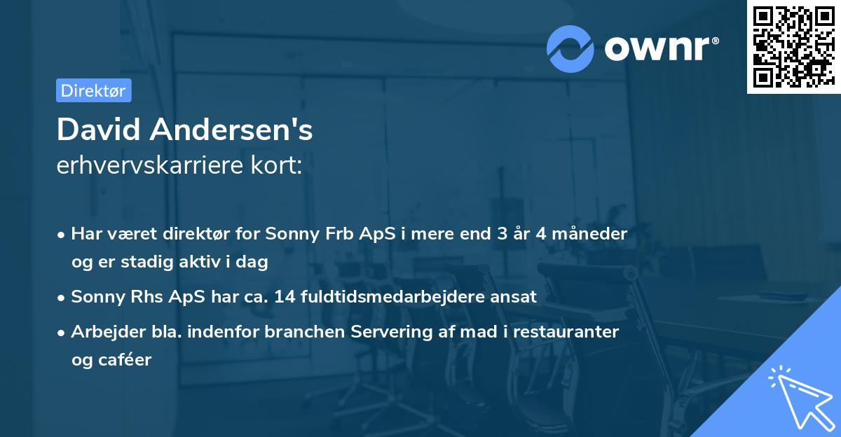 David Andersen's erhvervskarriere kort