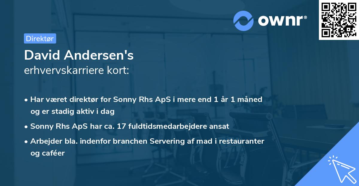 David Andersen's erhvervskarriere kort