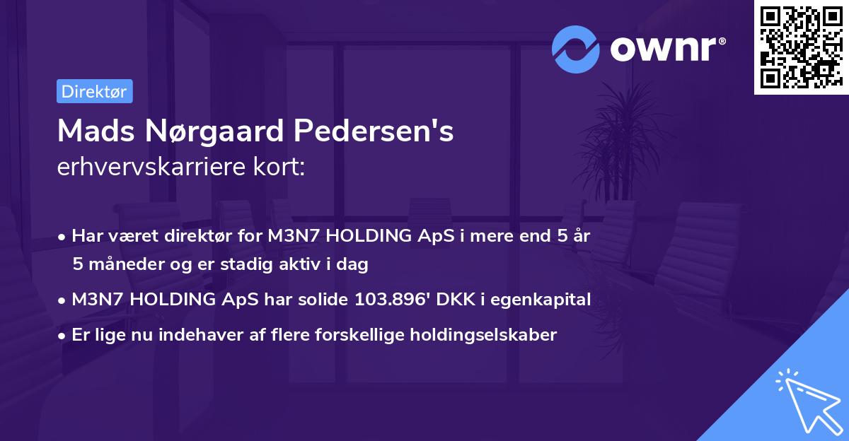 Mads Nørgaard Pedersen's erhvervskarriere kort