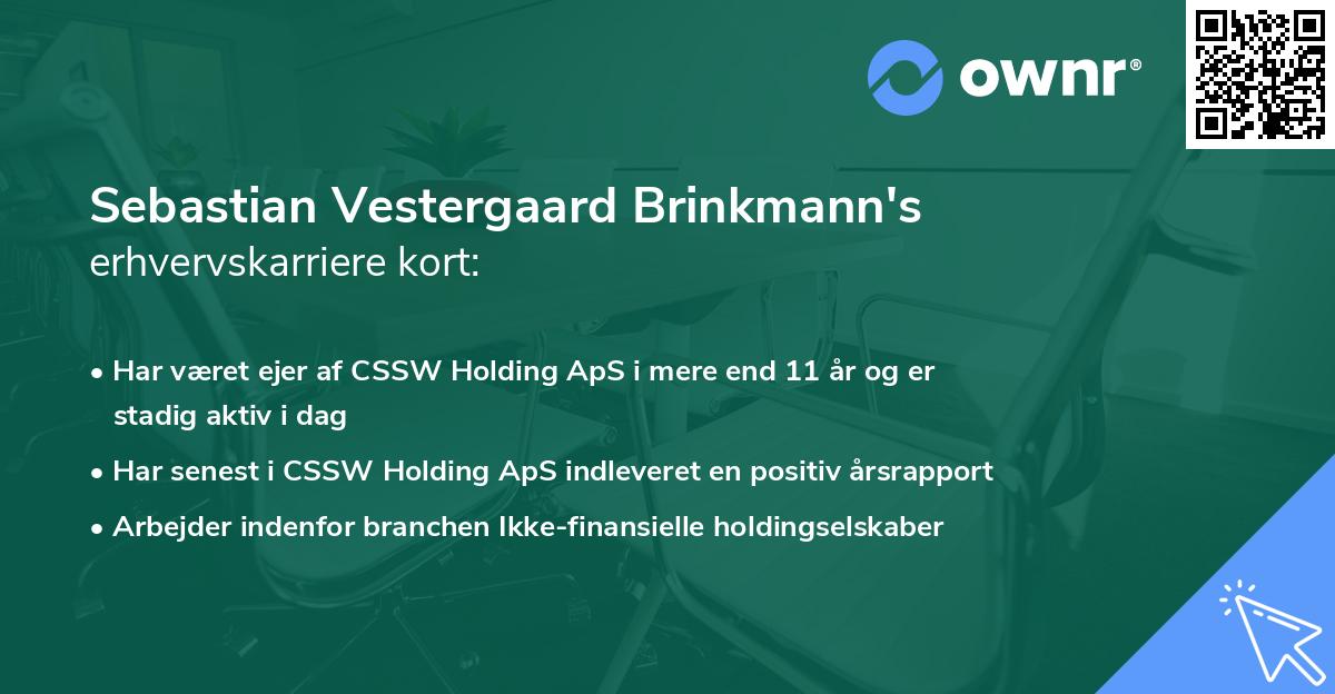 Sebastian Vestergaard Brinkmann's erhvervskarriere kort