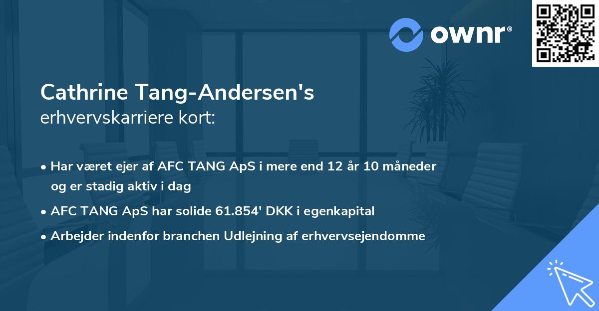 Cathrine Tang-Andersen's erhvervskarriere kort