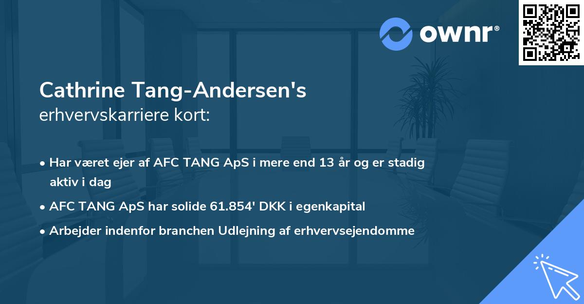 Cathrine Tang-Andersen's erhvervskarriere kort
