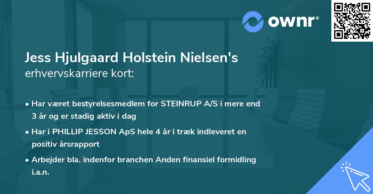 Jess Hjulgaard Holstein Nielsen's erhvervskarriere kort