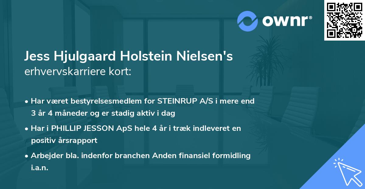 Jess Hjulgaard Holstein Nielsen's erhvervskarriere kort