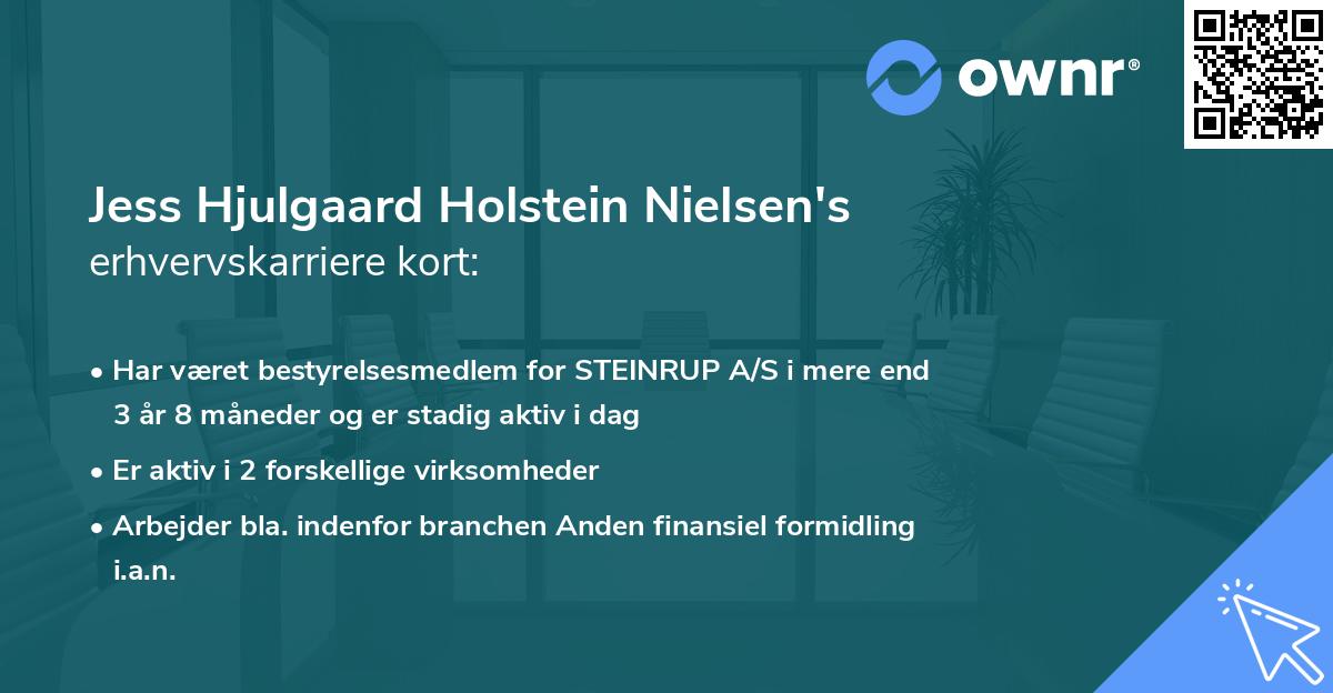 Jess Hjulgaard Holstein Nielsen's erhvervskarriere kort