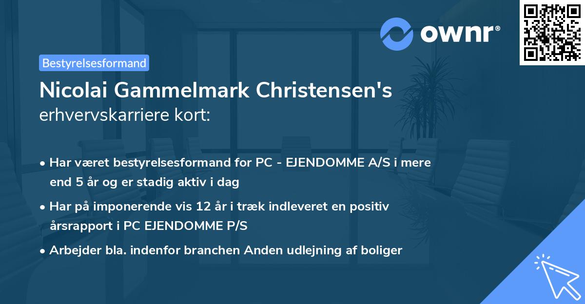 Nicolai Gammelmark Christensen's erhvervskarriere kort