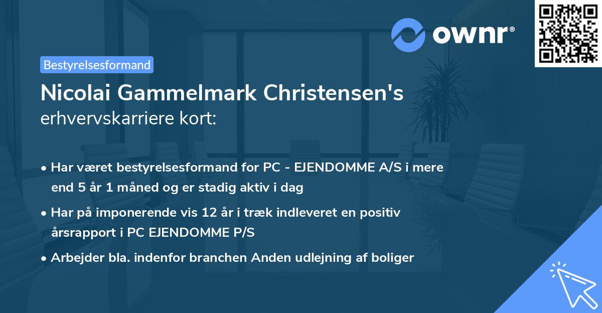 Nicolai Gammelmark Christensen's erhvervskarriere kort