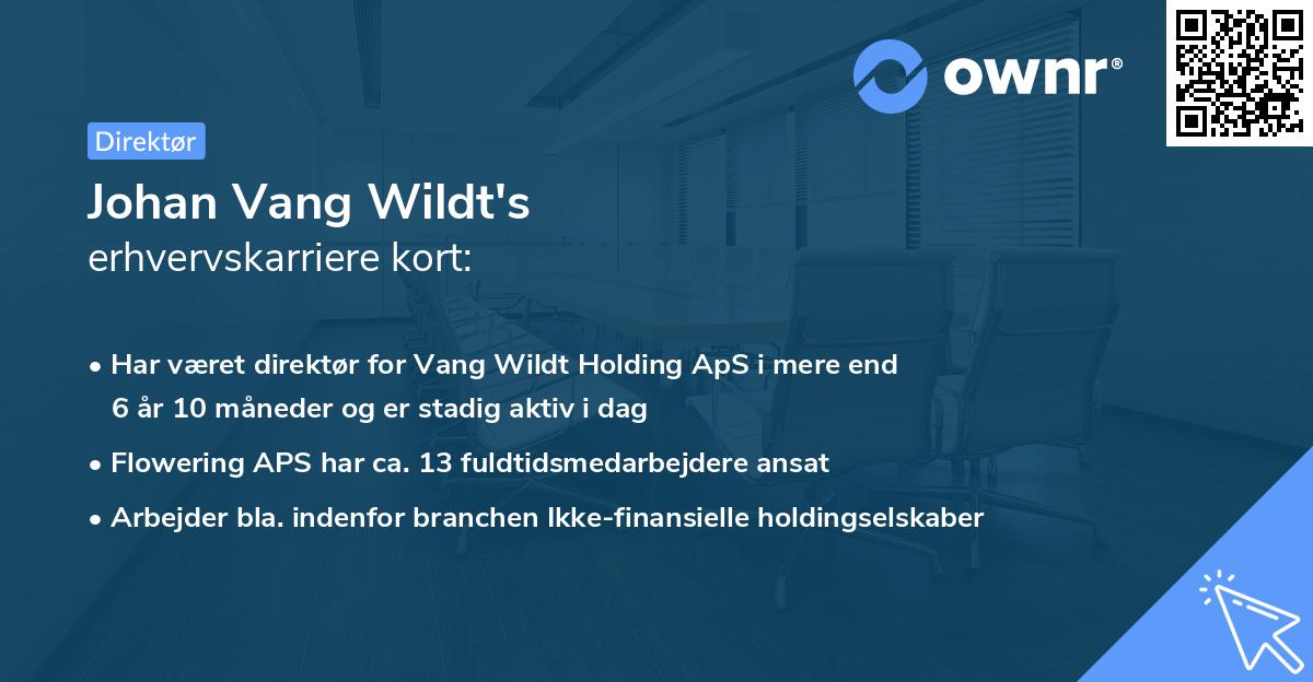 Johan Vang Wildt's erhvervskarriere kort