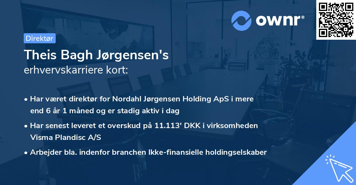 Theis Bagh Jørgensen's erhvervskarriere kort
