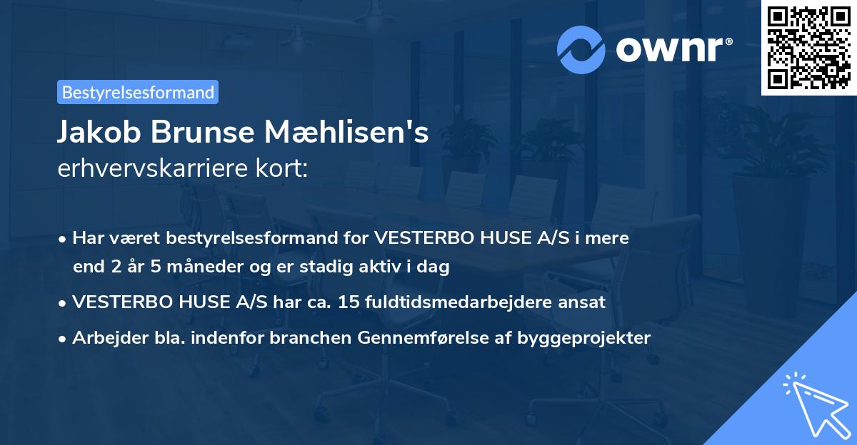 Jakob Brunse Mæhlisen's erhvervskarriere kort
