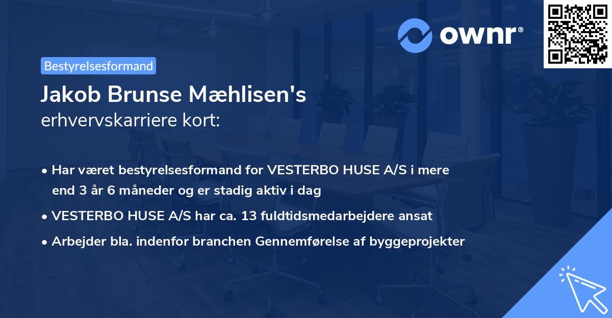 Jakob Brunse Mæhlisen's erhvervskarriere kort