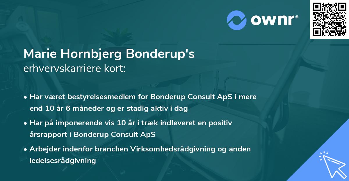Marie Hornbjerg Bonderup's erhvervskarriere kort