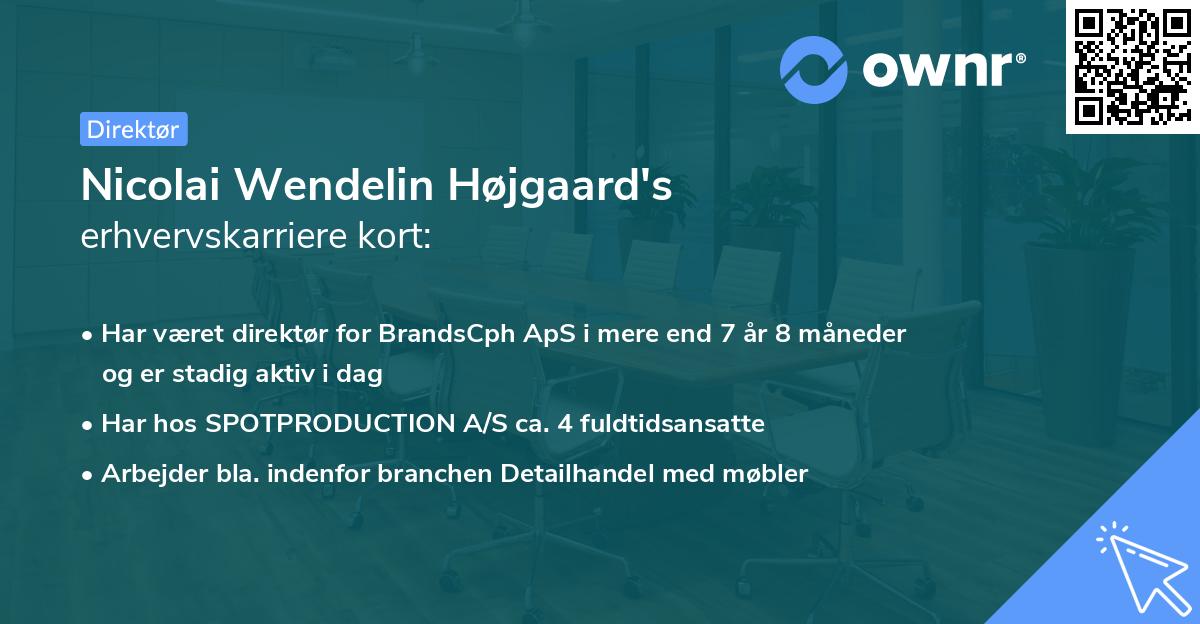 Nicolai Wendelin Højgaard's erhvervskarriere kort