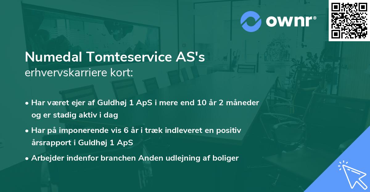 Numedal Tomteservice AS's erhvervskarriere kort