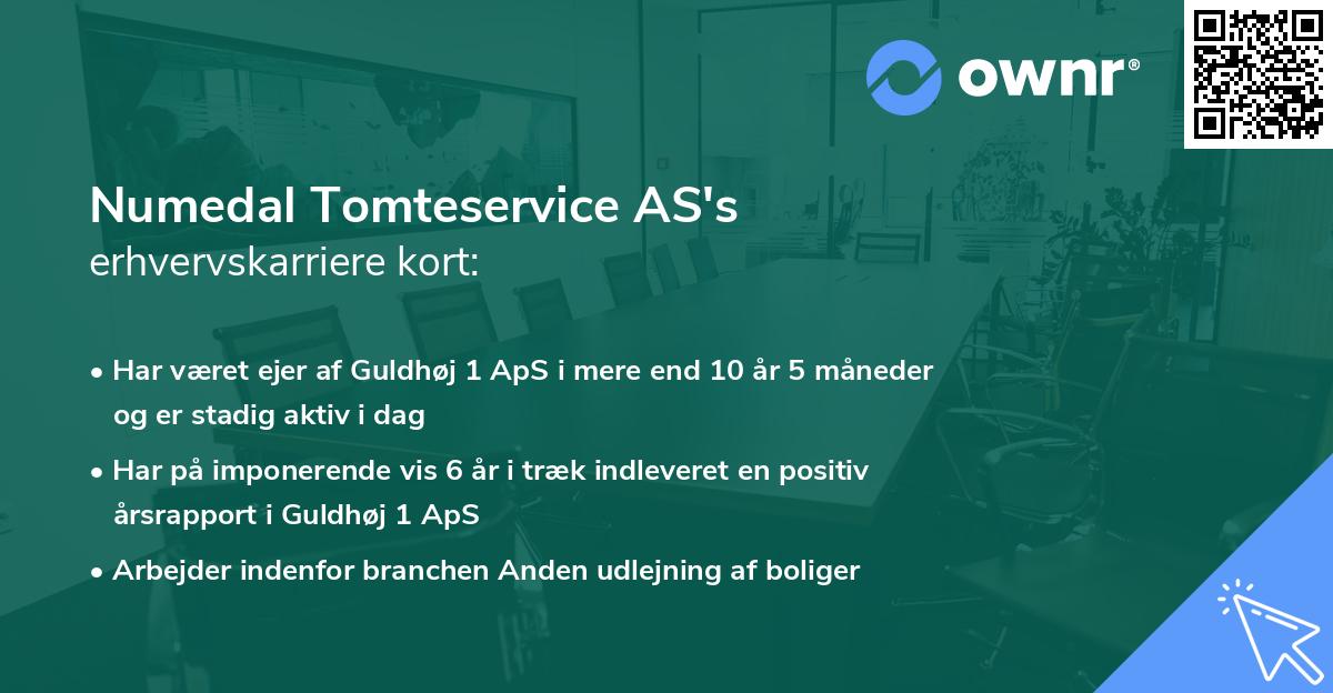 Numedal Tomteservice AS's erhvervskarriere kort