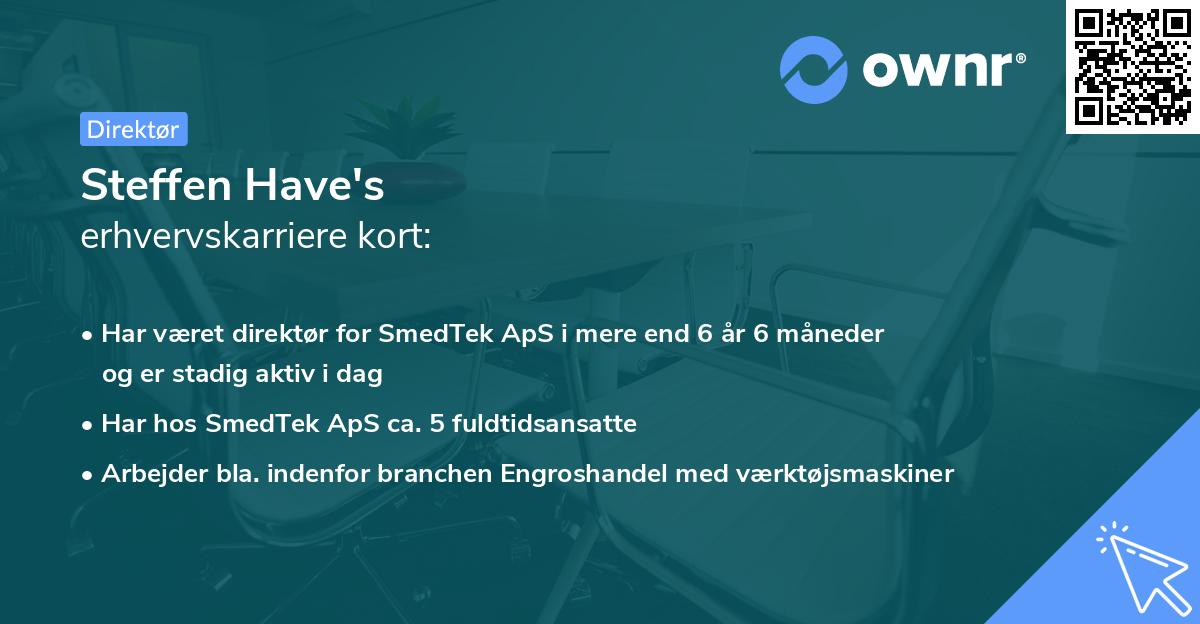 Steffen Have's erhvervskarriere kort