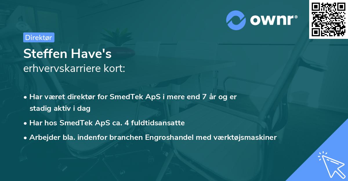 Steffen Have's erhvervskarriere kort