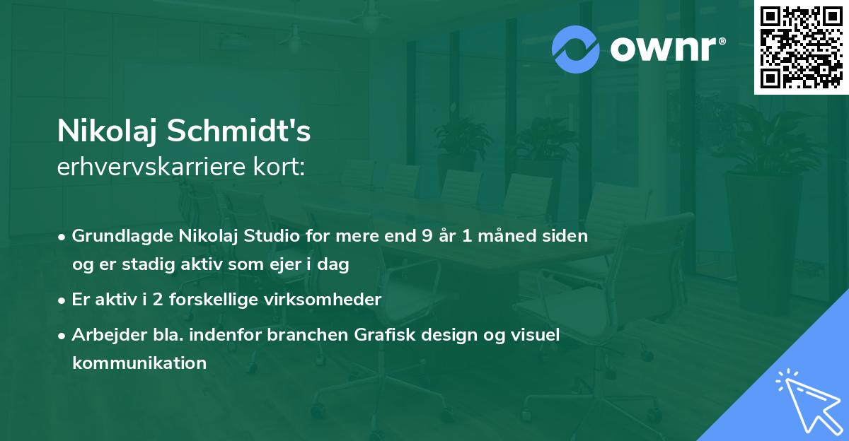 Nikolaj Schmidt's erhvervskarriere kort