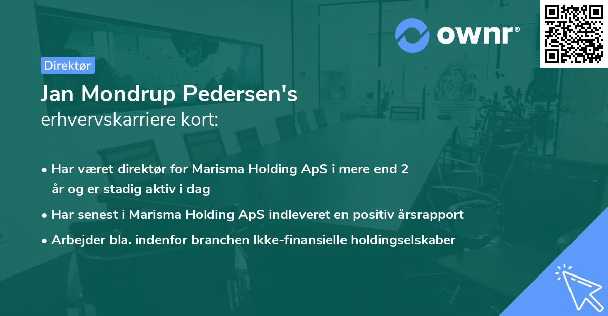 Jan Mondrup Pedersen's erhvervskarriere kort