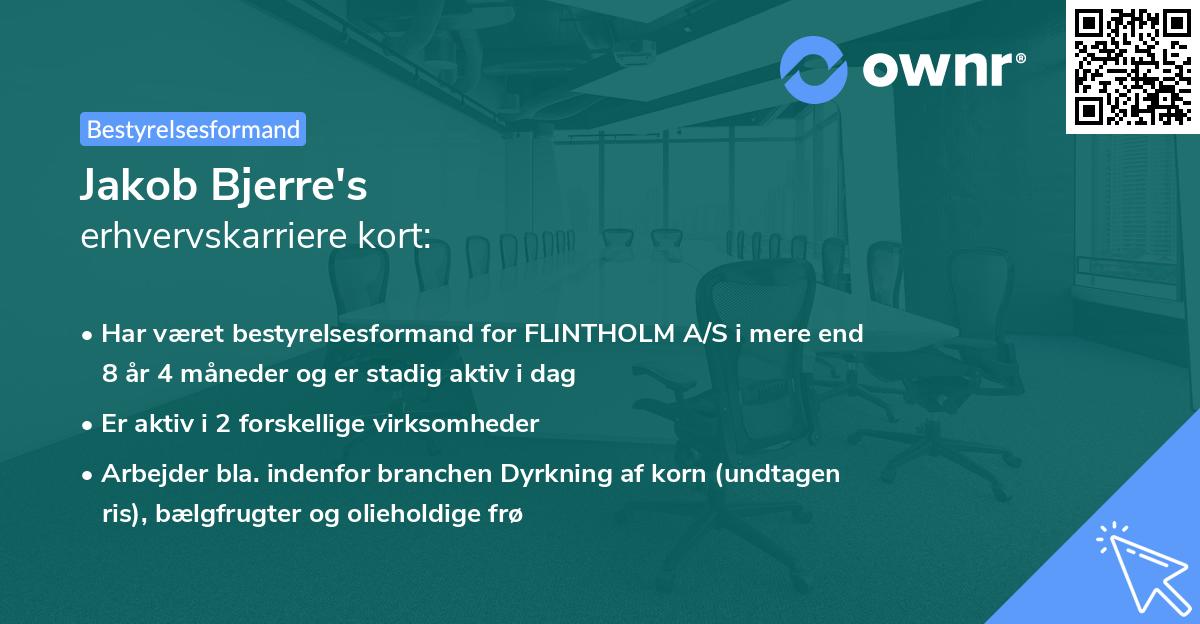 Jakob Bjerre's erhvervskarriere kort