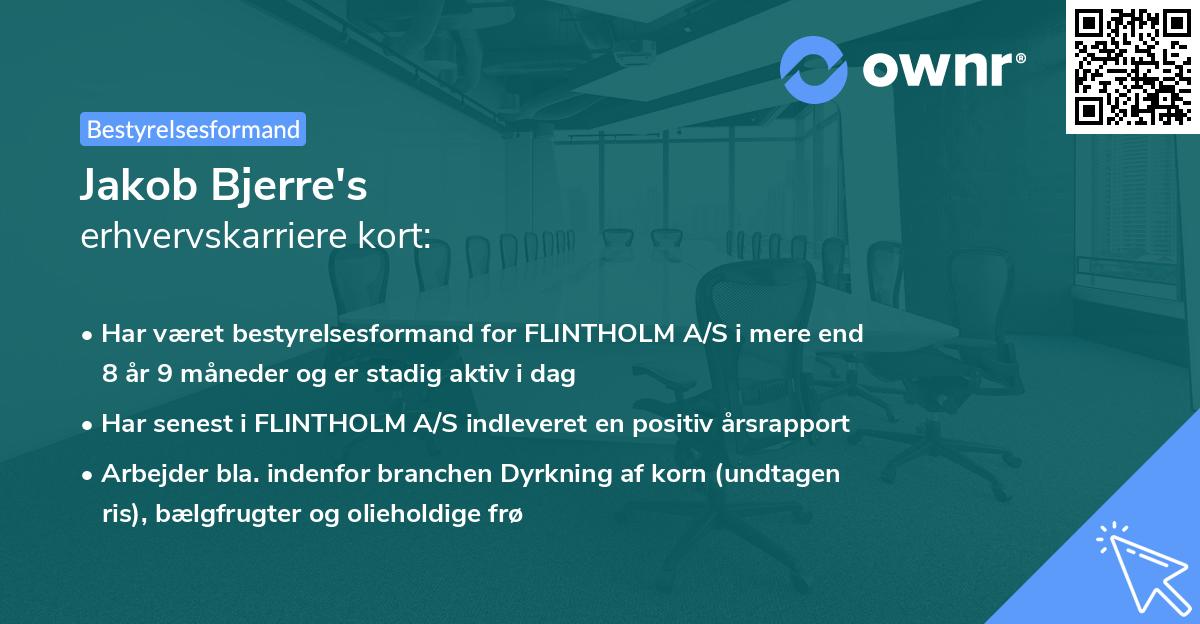 Jakob Bjerre's erhvervskarriere kort