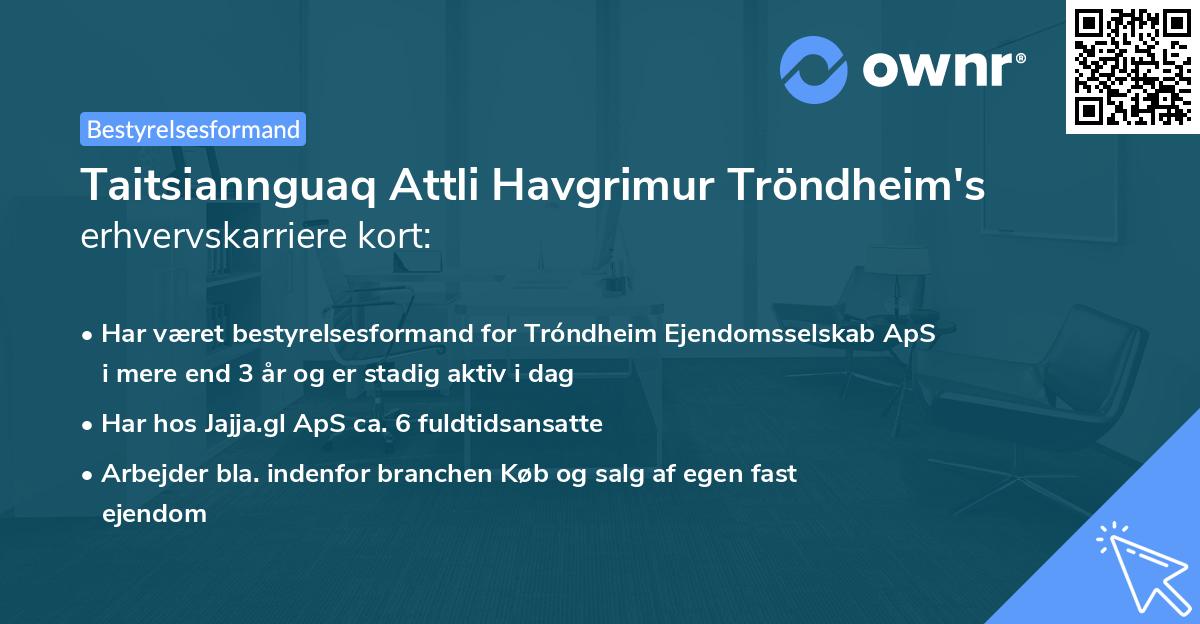 Taitsiannguaq Attli Havgrimur Tröndheim's erhvervskarriere kort