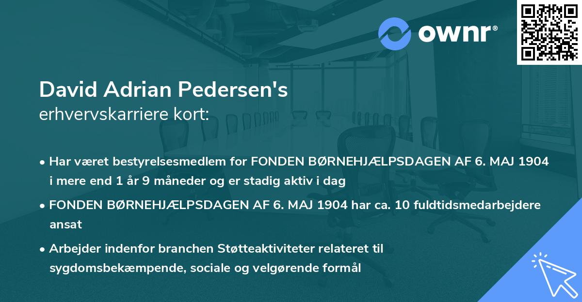 David Adrian Pedersen's erhvervskarriere kort