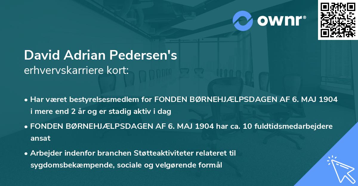 David Adrian Pedersen's erhvervskarriere kort