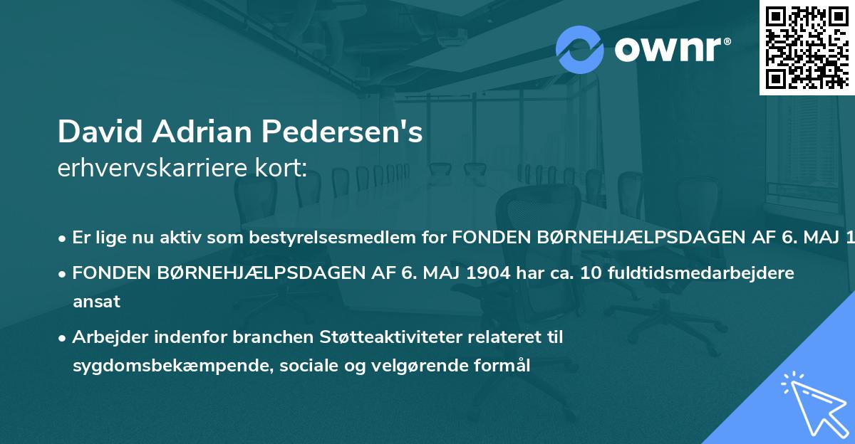 David Adrian Pedersen's erhvervskarriere kort