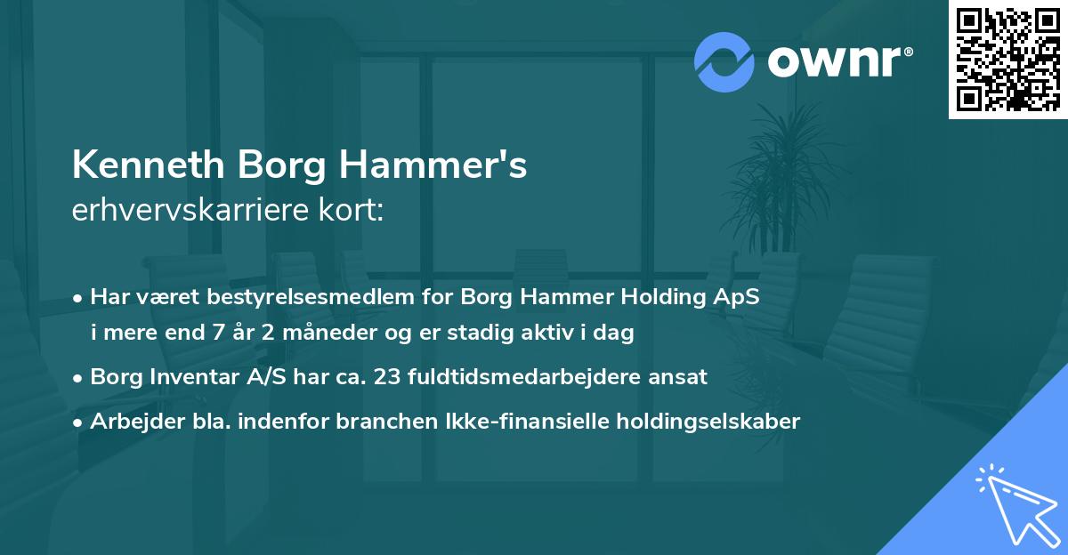 Kenneth Borg Hammer's erhvervskarriere kort