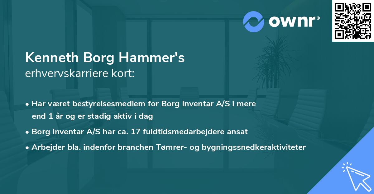 Kenneth Borg Hammer's erhvervskarriere kort