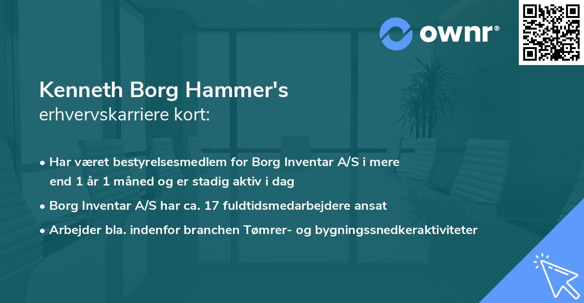 Kenneth Borg Hammer's erhvervskarriere kort
