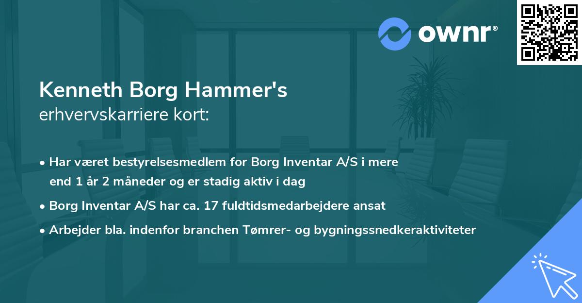 Kenneth Borg Hammer's erhvervskarriere kort