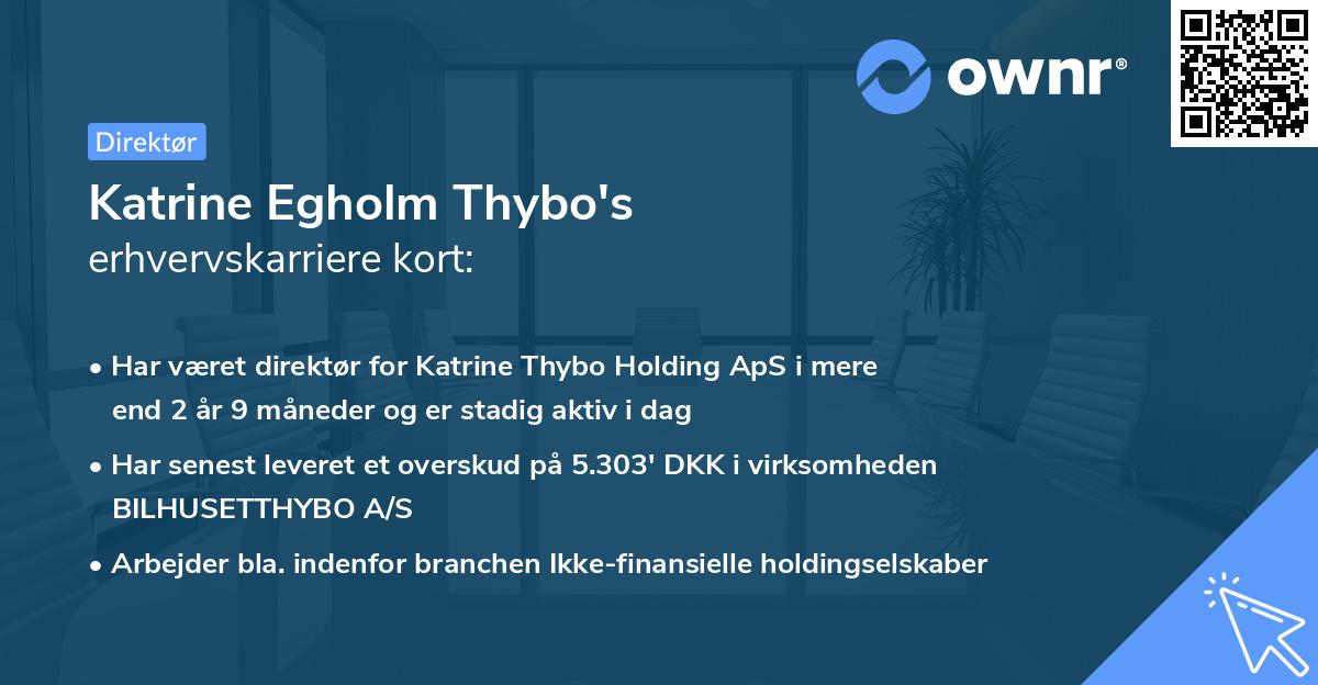 Katrine Egholm Thybo's erhvervskarriere kort