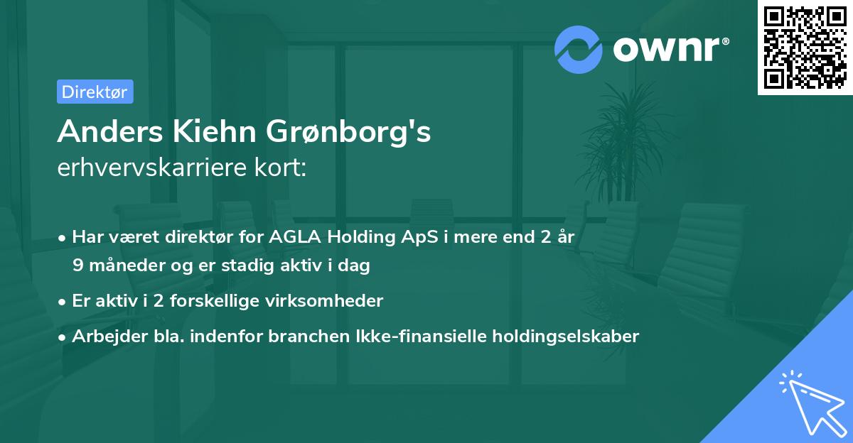 Anders Kiehn Grønborg's erhvervskarriere kort