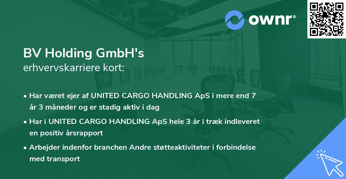 BV Holding GmbH's erhvervskarriere kort
