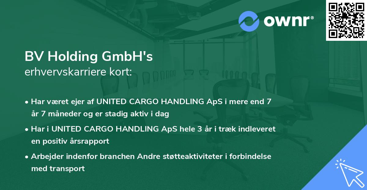 BV Holding GmbH's erhvervskarriere kort
